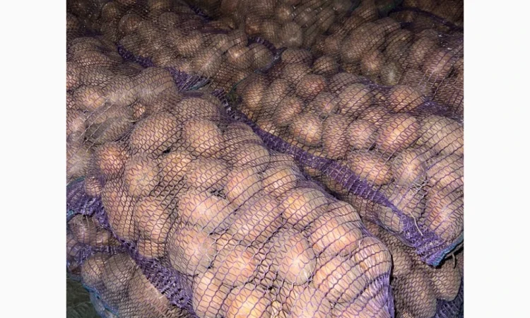 Продается борщевой набор по доступным ценам - фото № 1