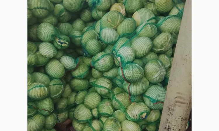 Продается борщевой набор по доступным ценам - фото № 6