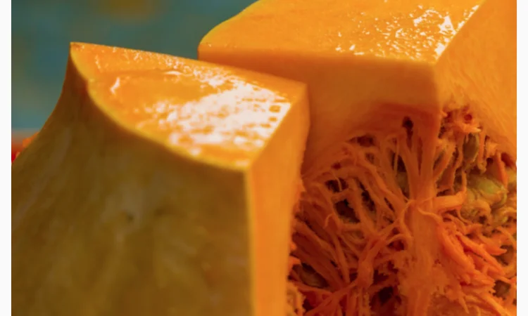 Вирощування та продаж гарбузів - фото № 1