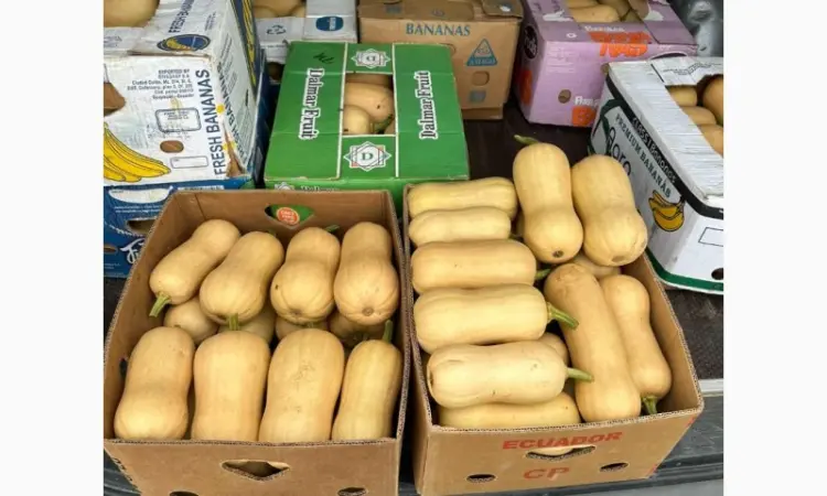 Гарбузи різних сортів на продаж - фото № 3