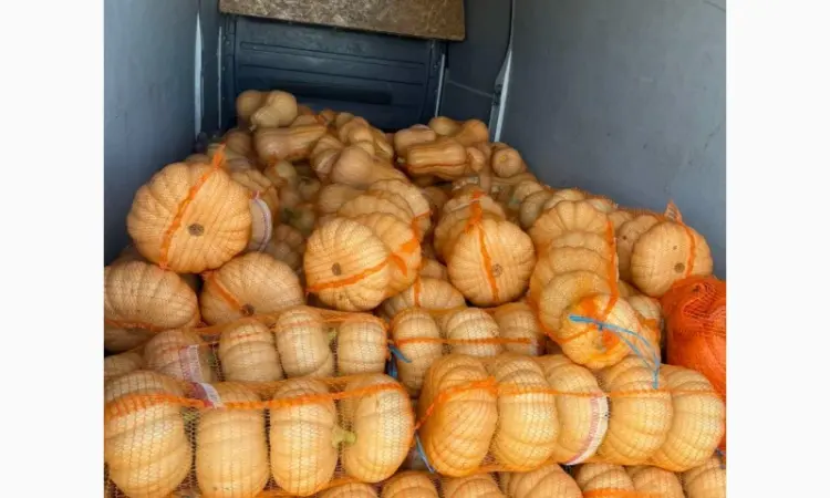Гарбузи різних сортів на продаж - фото № 4