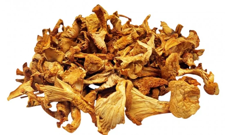 Лисичка сушена - полезный гриб - фото № 1