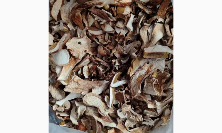 Сушені білі гриби з Карпат - фото № 1
