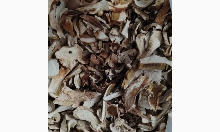 Сушені білі гриби з Карпат - фото № 2