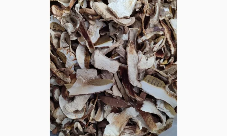 Сушені білі гриби з Карпат - фото № 3