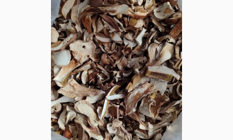 Сушені білі гриби з Карпат - фото № 4