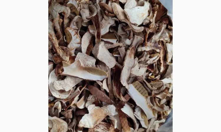 Сушені білі гриби з Карпат - фото № 5