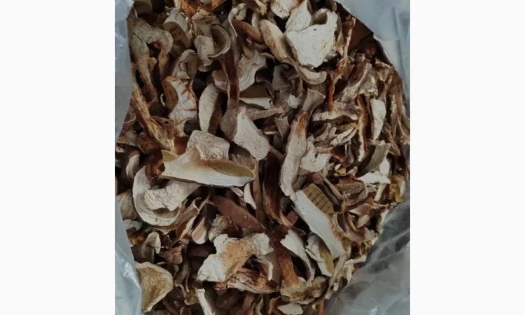 Сушені білі гриби з Карпат - фото № 6