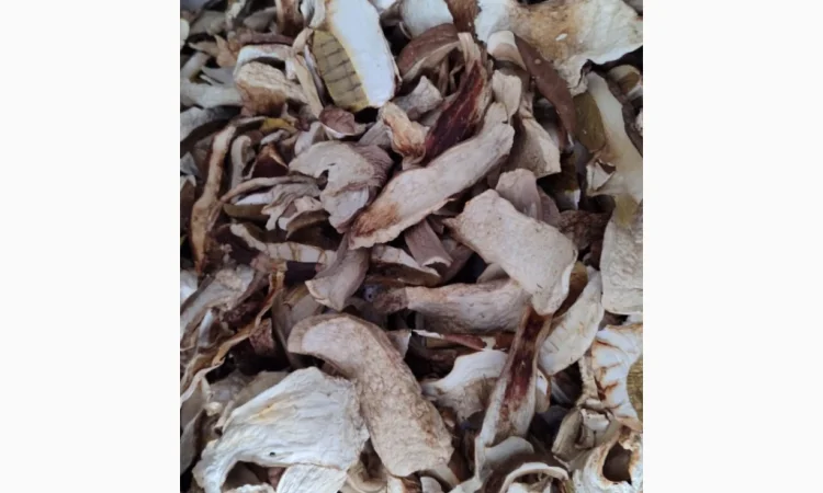 Сушені білі гриби з Карпат - фото № 7