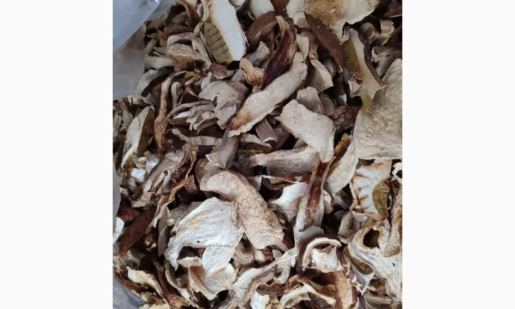 Сушені білі гриби з Карпат - фото № 8