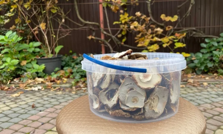 Сушені білі гриби без домішок - фото № 1