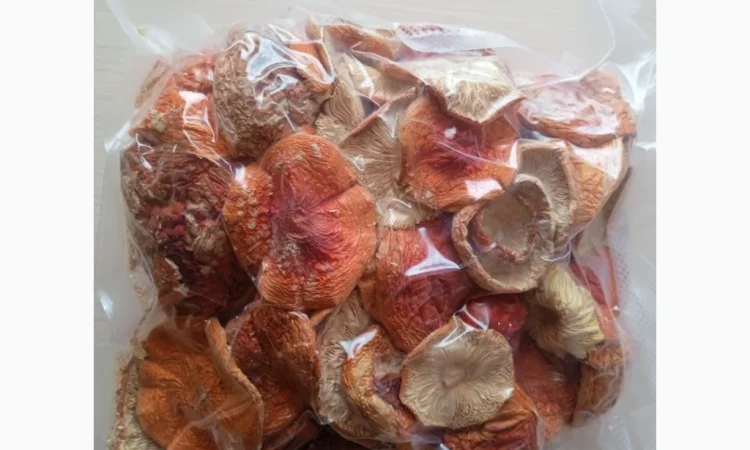 Продажа сушеных мухоморов - фото № 1