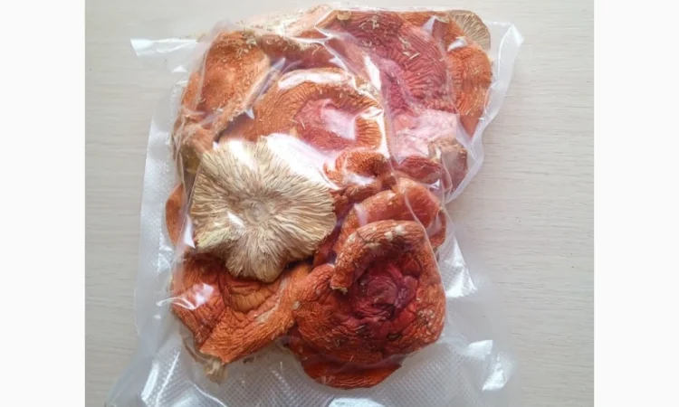 Продажа сушеных мухоморов - фото № 2