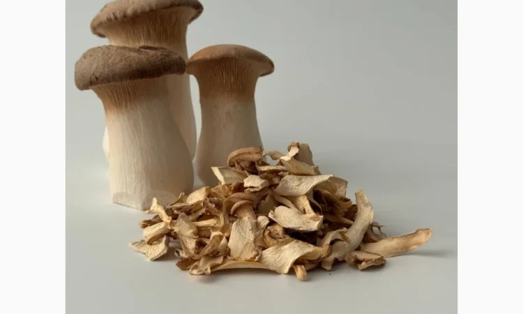 Продажа сушеных грибов еринги - фото № 1