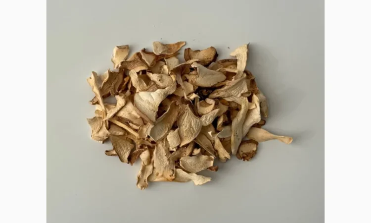 Продажа сушеных грибов еринги - фото № 2