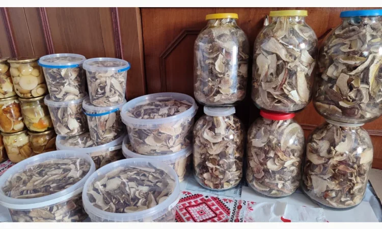Сушені білі гриби на продажу - фото № 1