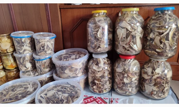 Сушені білі гриби на продажу - фото № 2