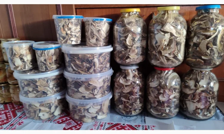 Сушені білі гриби на продажу - фото № 5