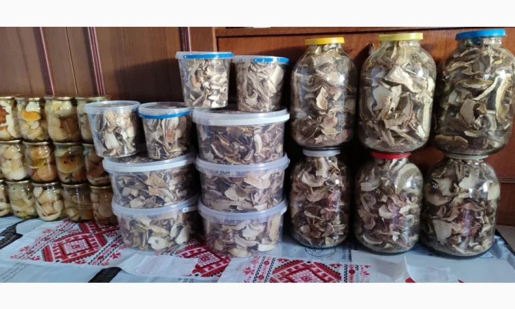Сушені білі гриби на продажу - фото № 6