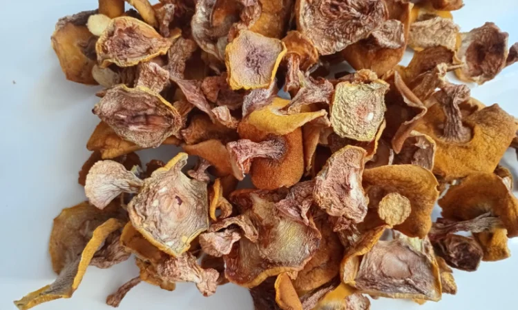 Продаю сушеный маслюк высшего качества - фото № 1