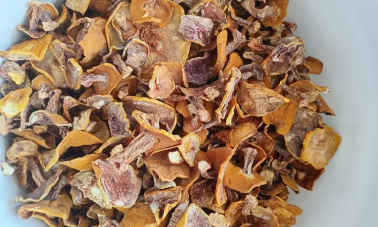 Продаю сушеный маслюк высшего качества - фото № 2