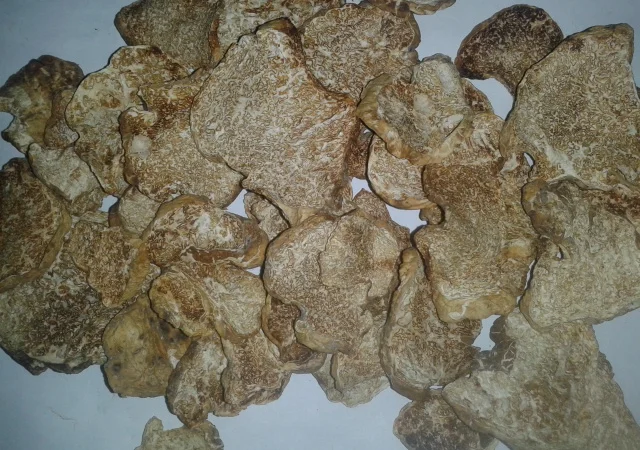 Продажа сушеного белого трюфеля - фото № 2
