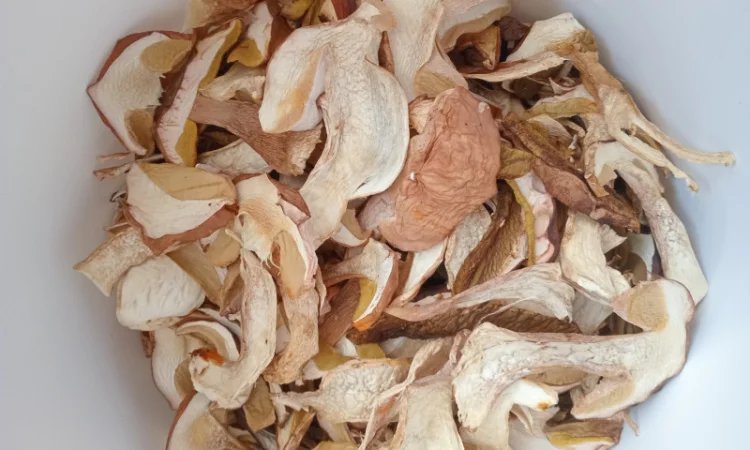 Продажа сушеного белого гриба - фото № 2