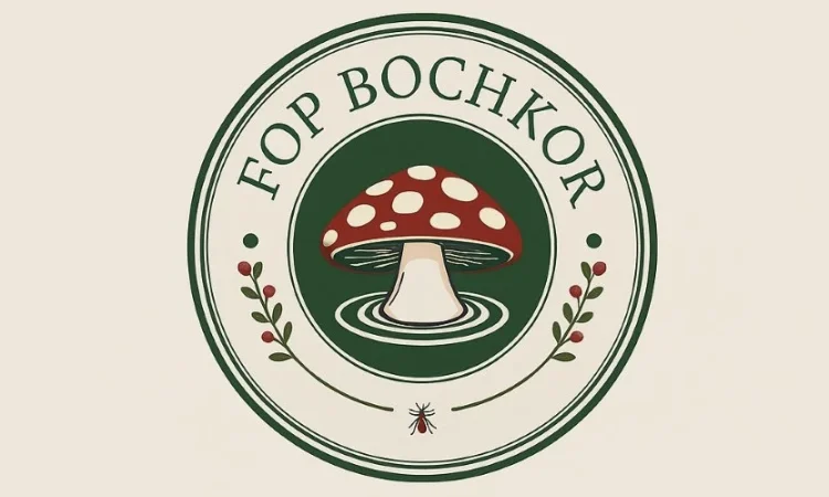 Покупка сушеного червоного мухомора - фото № 1