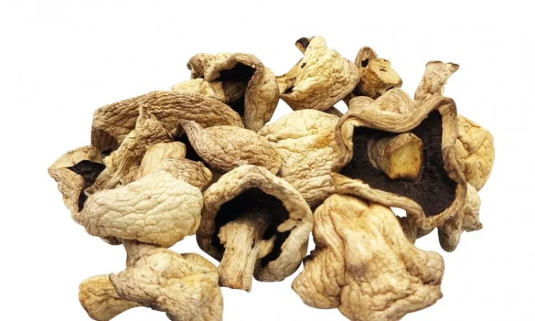 Печериці сушені, продаж - фото № 1