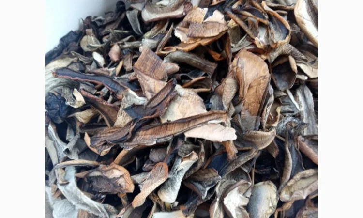 Продаж сушених грибів підосиновиків - фото № 2