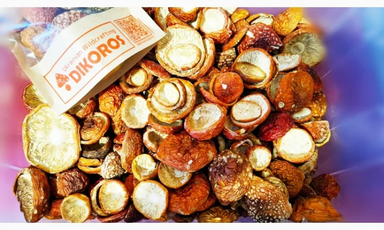 Мухомор - Высокое качество и низкие цены - фото № 1