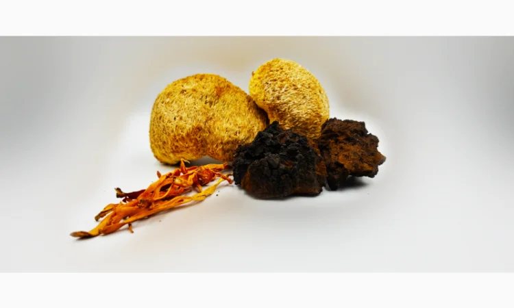 Мухомор - Высокое качество и низкие цены - фото № 3