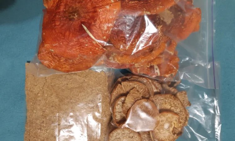 Сушеные грибы червоний 2025 года на продажу - фото № 2