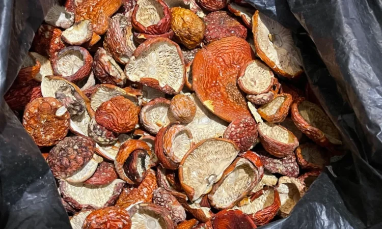 Сушені мухомори першого сорту - фото № 3