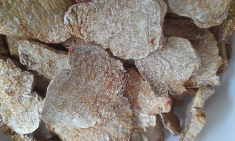 Продажа сушеного белого трюфеля - фото № 1