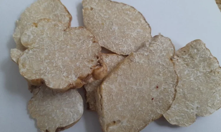 Продажа сушеного белого трюфеля - фото № 4