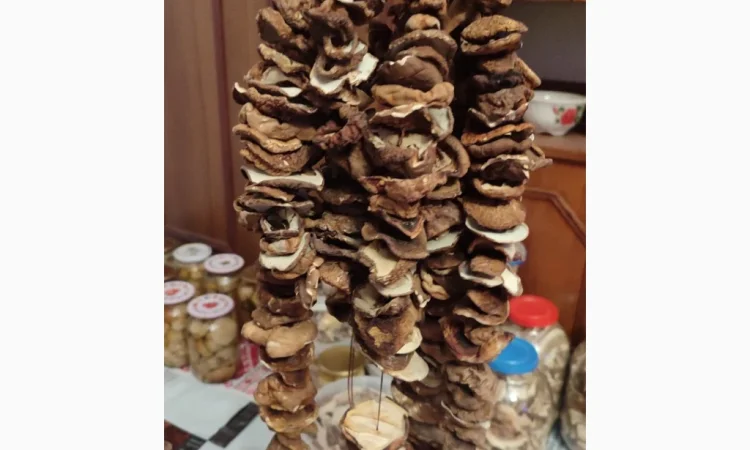 Шапочки білих грибів на продаж - фото № 1