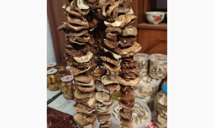 Шапочки білих грибів на продаж - фото № 3