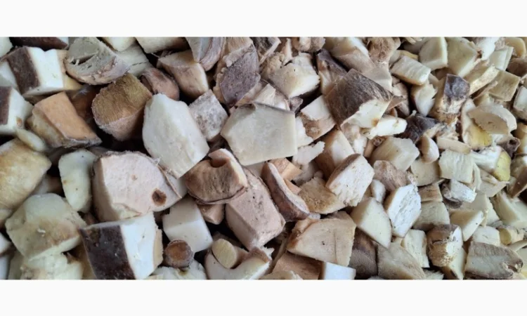 Грибы белые свежезамороженные нарезанные кубиками - фото № 2