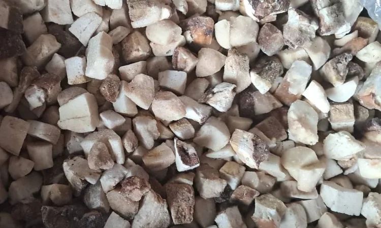 Качественные замороженные белые грибы (кубики) 1 сорт - фото № 2