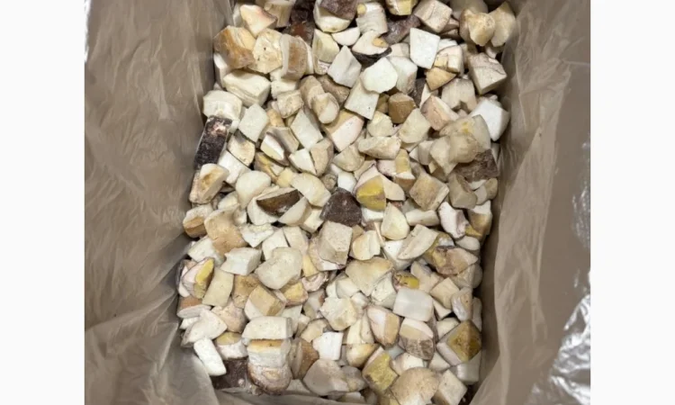 Куплю морожені білі гриби - фото № 1