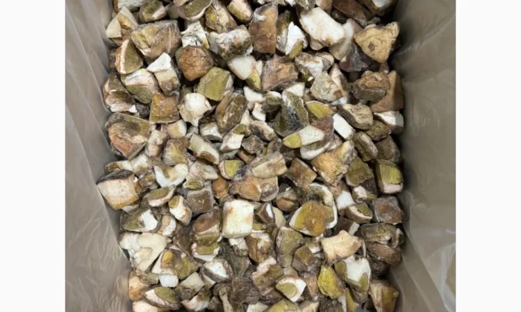 Продажа белых грибов замороженных по 250 грн за килограмм - фото № 1