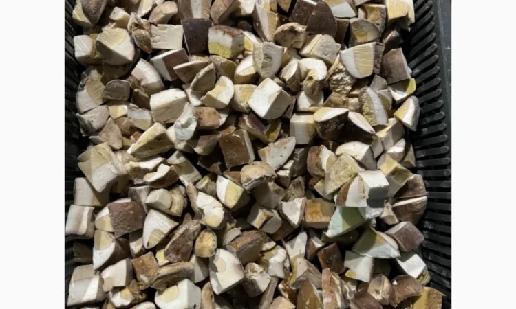 Продажа белых грибов замороженных по 250 грн за килограмм - фото № 2