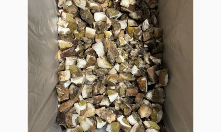 Продажа белых грибов замороженных по 250 грн за килограмм - фото № 3