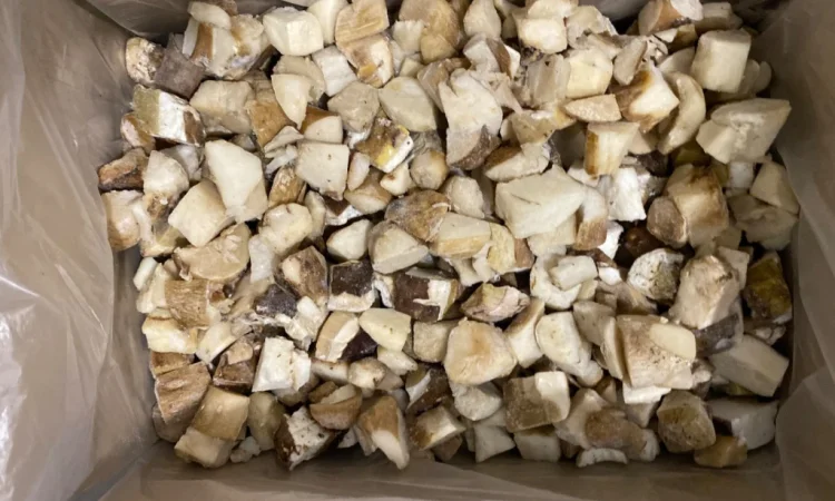 Продаж білих грибів заморожених 360 грн за кілограм - фото № 1