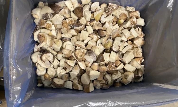 Продаж білих грибів заморожених 360 грн за кілограм - фото № 2