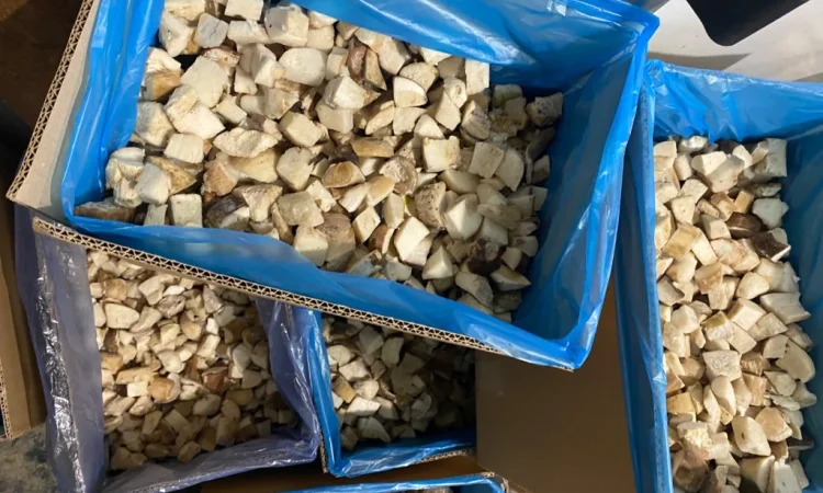 Продаж білих грибів заморожених 360 грн за кілограм - фото № 3