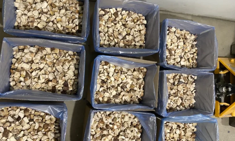 Продаж білих грибів заморожених 360 грн за кілограм - фото № 4