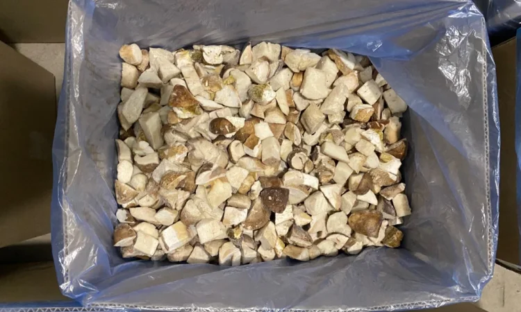 Продаж білих грибів заморожених 360 грн за кілограм - фото № 5