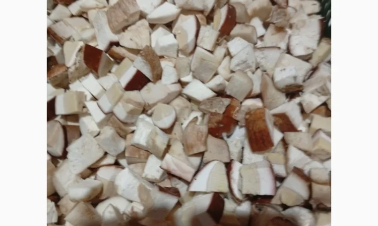 Продаж замороженого білого гриба кубиком - фото № 1